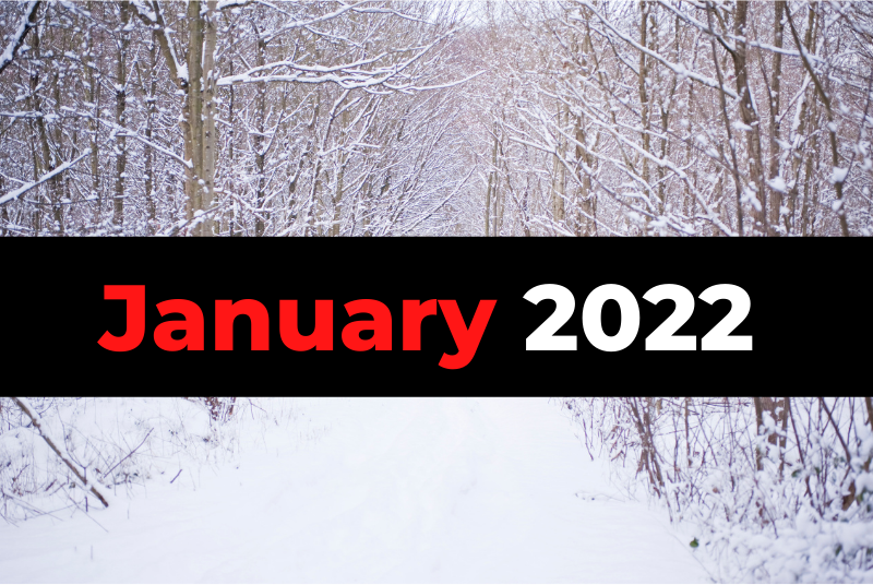 January 2022 Review + What's Up With the Novel?